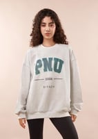 بلوفر جامعة الأميرة نورة بيج- PNU