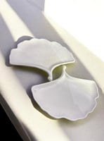 كوستر شكل الصدفه