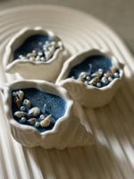 جمال البحر .. في راحة يدك