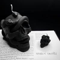 شمعتين | Snake skull