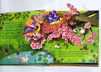 كتاب فصول السنة ثلاثي الأبعاد "Pop-Up Seasons"