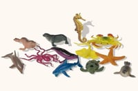 حيوانات البحر-حجم كبير