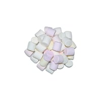 مني مارشميلو كامب فاير (مجفف بالتبريد)