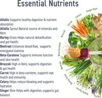 APPLIED NEW CRITICAL GREENS LEMON AND LIME 150G