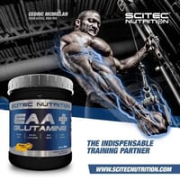 SCITEC EAA+GLUTAMINE MELON-COLA 300G
