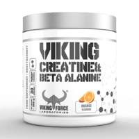 VIKING CREATINE AND BETA ALANINE ORANGE 300 G