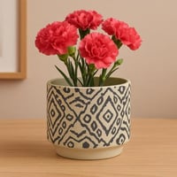 أصيص سيراميك بنقشة هندسية