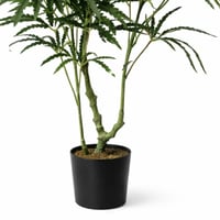 شجره طاووس صناعية فاخرة باوراق خضراء كثيفة