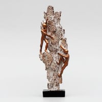 تحفة ارتقاء مشترك Shared Ascent