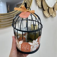 طقم معطر جو "عبير الصيف المنعش" داخل قفص ديكور