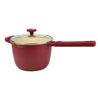 قدر طهي مع غطاء-20سم-SSN