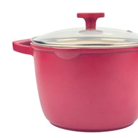 قدر طهي مع غطاء-20سم-SSN