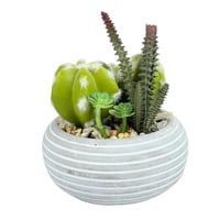 صبار ديكوري صناعي في أصيص سيراميكي مخطط