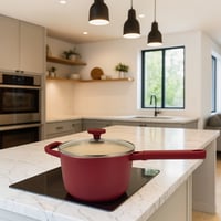 قدر طهي مع غطاء-20سم-SSN