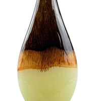 مزهرية زجاجية انيقة