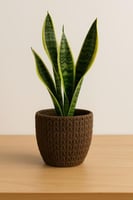 أصيص زراعة سيراميكي بنقشة نسيج بني