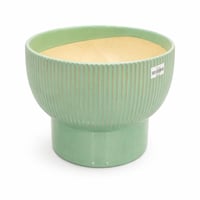 اصيص زرع سيراميك بقاعدة مرتفعة لون اخضر فاتح
