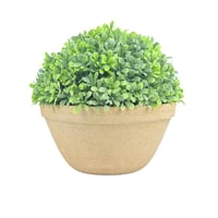 نبتة بونساي صغيرة صناعية شكل أنيق وحجم مثالي للديك...