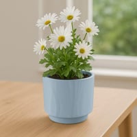 أصيص للنباتات – تصميم راقي و مميز ابيض