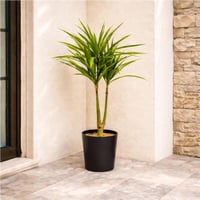 نبتة دراسينا صناعية للديكور الداخلي والخارجي