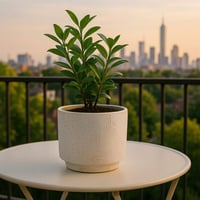 أصيص زرع سيراميك بتصميم واجهة مدينة – لمسة فخامة ط...