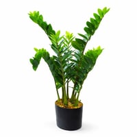 نبتة زاميوكولكاس صناعية فاخرة بوعاء اسود – ارتفاع...