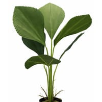 نبتة نخيل مروحية داخلية فاخرة للديكور