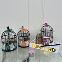 طقم معطر جو "عبير الصيف المنعش" داخل قفص ديكور