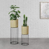 ستاند نباتات حديد