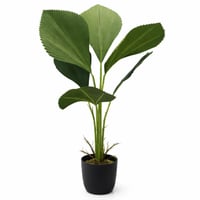 نبتة نخيل مروحية داخلية فاخرة للديكور