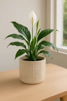 أصيص سيراميك بنمط شبكي بلون عاجي