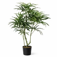 شجره طاووس صناعية فاخرة باوراق خضراء كثيفة