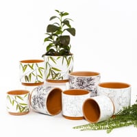 أصيص زرع فخار متعدد الألوان - 14x12.5 سم