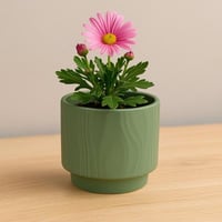 أصيص سيراميك أخضر بنقشة خشبية