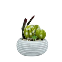 صبار ديكوري صناعي في أصيص سيراميكي مخطط