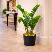 نبتة زاميوكولكاس صناعية فاخرة بوعاء اسود – ارتفاع...