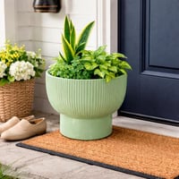 اصيص زرع سيراميك بقاعدة مرتفعة لون اخضر فاتح