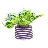 نبتة صناعية بأوراق خضراء مزخرفة – ديكور فخم ولمسة...