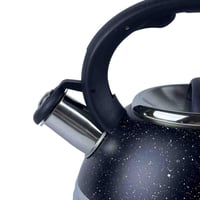 غلاية ستانلس ستيل بصافرة – 3 لتر