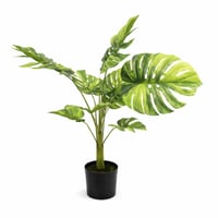 نبتة مونستيرا صناعية فاخرة بوعاء انيق