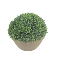 نبتة بونساي صغيرة صناعية شكل أنيق وحجم مثالي للديك...