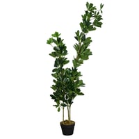 مركن شجر ديكور بتصميم طبيعي