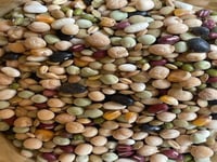 تشكيله من البقوليات للببغاوات 1 كيلو ( منقوع )