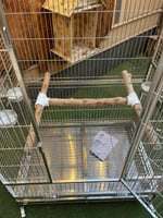 مجثم طبيعي تابع لقفص الاستيل حرف H