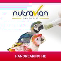 سريلاك خاص بالطيور الببغاء انرجي 500جرام