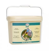 باتية - Quiko Sitt