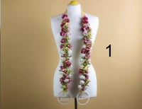 عقد تخرج بالاسم