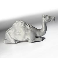 قالب سيليكون غذائي على لجمل وسط