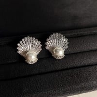 Seashell earrings