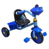 دراجة ثلاثة عجل